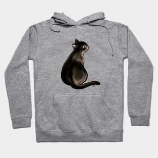 Long tail black cat lady Hoodie